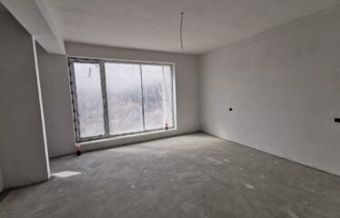 Casa individuala 4 camere in zona Parfumului